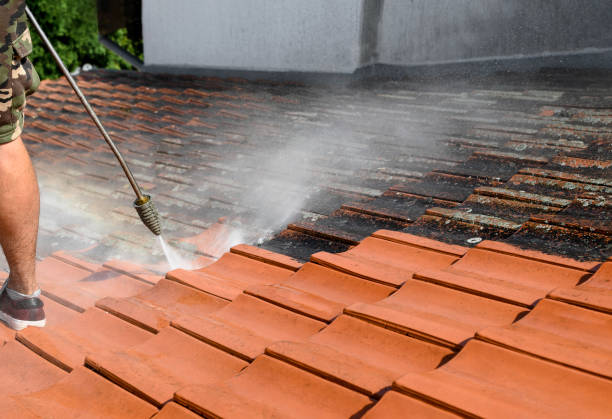 Best Pressure Washing Near Me  in Annetta, TX